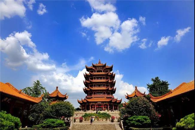 1636011358672.jpg 501.jpg