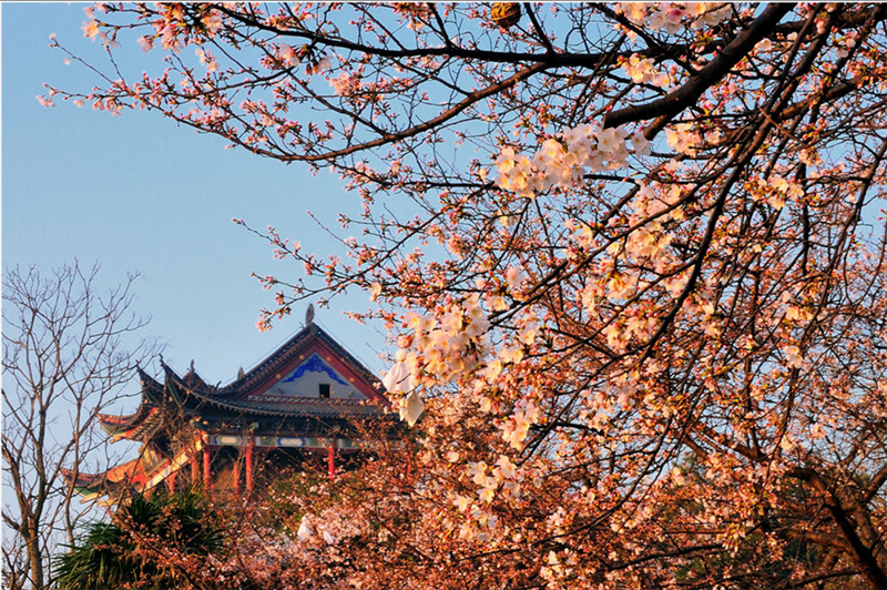 1636011812677.png 533.png