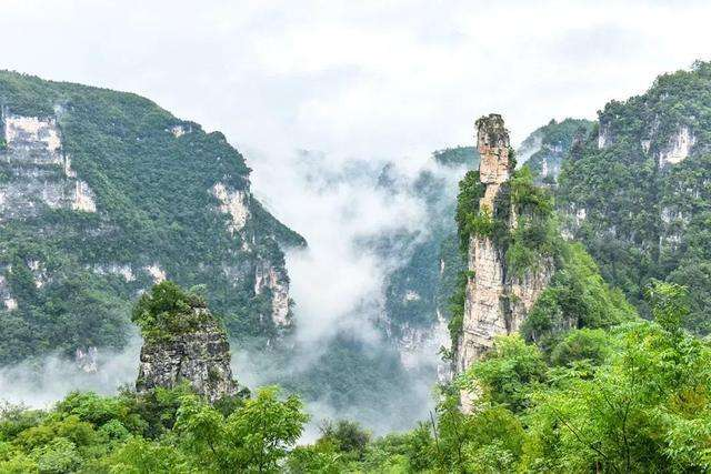 1659081578337.png 3.png